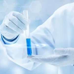 2024ڇ(gu)Ht(y)еչ[(hu)