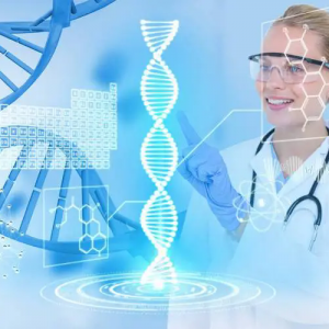 2024ڇ(gu)Ht(y)еչ[(hu)20241218-20ڇ(gu)H(hu)չek