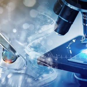 ϷǇ(gu)Ht(y)еչ[(hu)