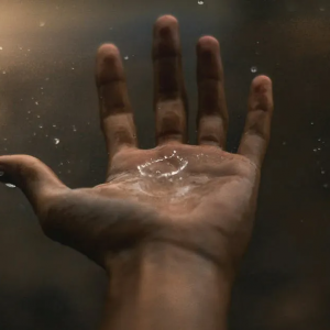 t(y)(w)ИI(y)ӭvʷ԰l(f)չC